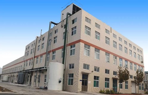 Fructooligosaccharide FOS Kalorienarm Süßstoff für ein gesundes Verdauungssystem 2